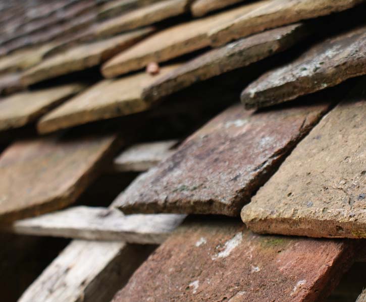 missing shingles are a sign for a mandatory roof repair or replacement