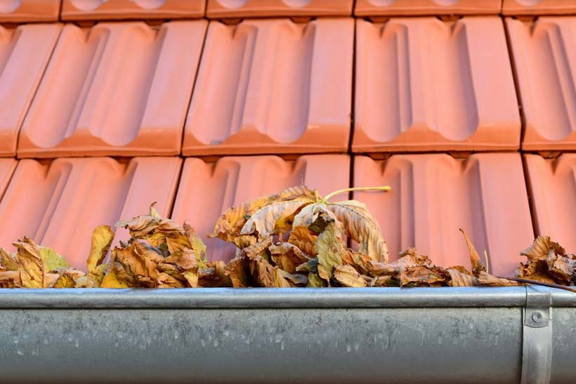 gutter full of leaves needs cleaning